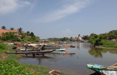 Balıkçı tekneleri Negombo Sri Lanka