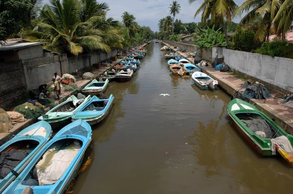 斯里兰卡Negombo号渔船 — 图库照片