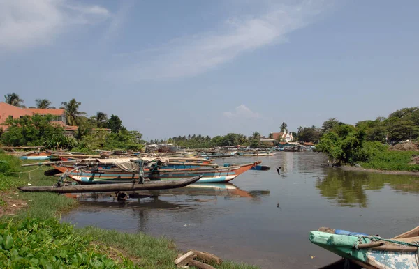 Barcos Pesca Negombo Sri Lanka —  Fotos de Stock
