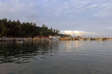 Mirissa Körfezi Güney Sri Lanka