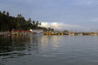 Mirissa Körfezi Güney Sri Lanka