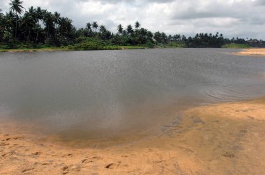 Galle Sahili Güney Sri Lanka