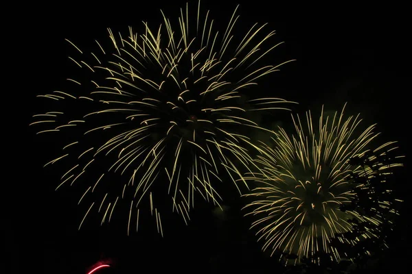 Hermosos Fuegos Artificiales Colores Cielo Nocturno Fuegos Artificiales Cielo Nocturno —  Fotos de Stock