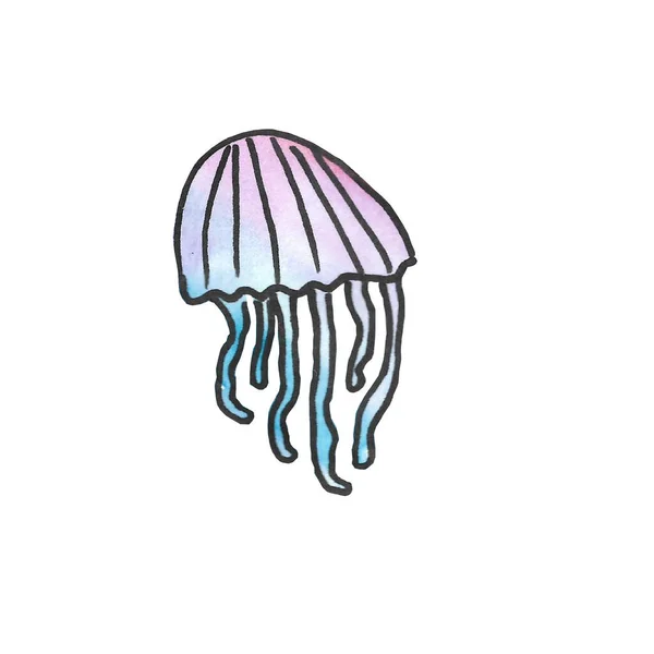 Watercolor Pink Jellyfish White Background — Stock Photo, Image