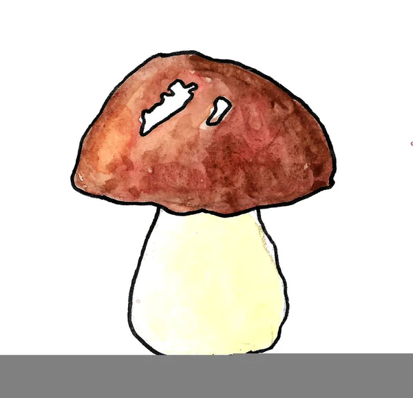 Aquarelle un champignon blanc porcini isolé — Photo