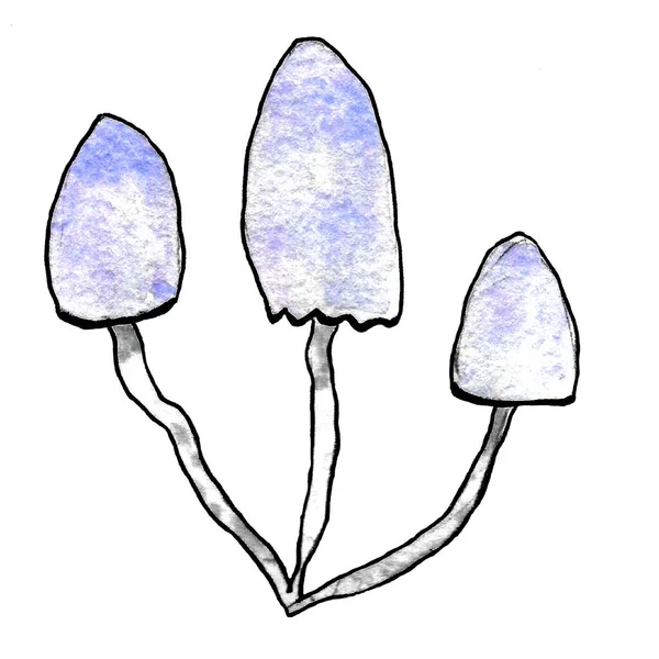 Akwarela ilustracja trzech fioletowych grzybów z fioletową trawą. — Zdjęcie stockowe