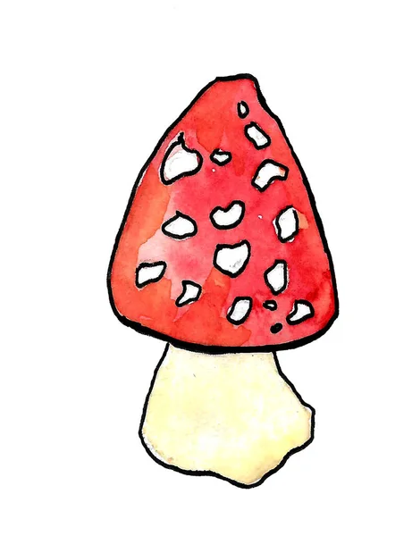 Amanita, poisonous mushroom,drawing by watercolor, — Stock Photo, Image