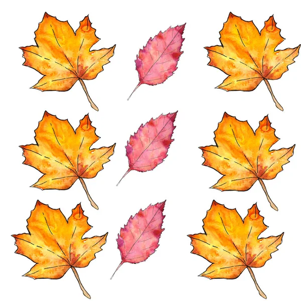 Autumn leaves. cute pattern of beautiful prints of leaves painted watercolor by hand. — Stock Photo, Image