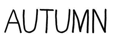 El yazısı kelime sonbahar. Elle çizilmiş sonbahar yazıları. Modern hat sanatı.