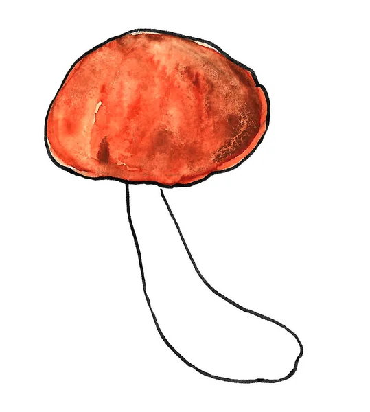 Акварель один білий гриб з порні. ізольована ілюстрація ручного малюнка — стокове фото