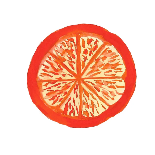 Rebanada de dibujo naranja por acuarela, ilustración dibujada a mano — Foto de Stock