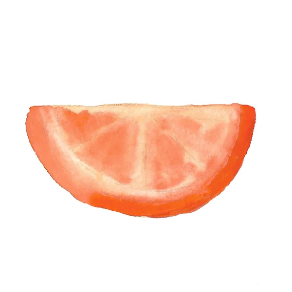 Skiva röd apelsin eller grapefrukt. Akvarell tropisk frukt isolerad. Exotiskt objekt, enkel teckning, ikon. Sommar design tryck för dekoration. Färsk söt grafisk handritad citrus. Fruktmakro — Stockfoto