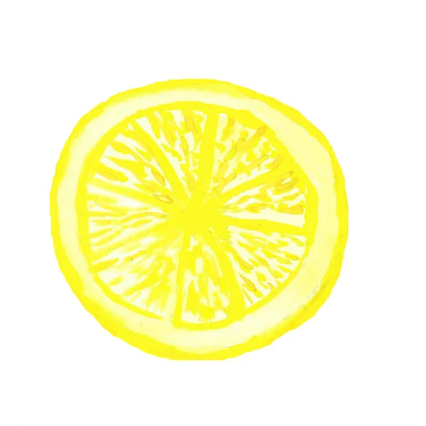 Skiva av citron ritning av akvarell, handritad akvarell illustration — Stockfoto