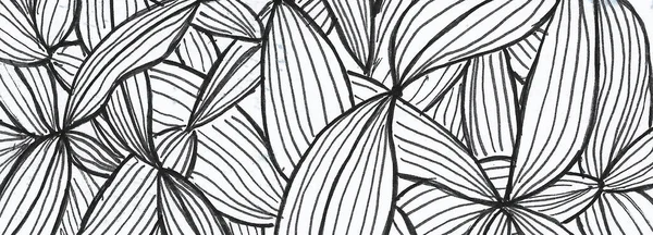 siyah ve beyaz mobious dalga çizgili optik soyut tasarım