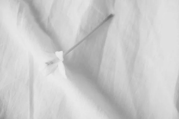 Fleur Blanche Sur Texture Sac Coton Tissu Fragment Tissu Matériel — Photo