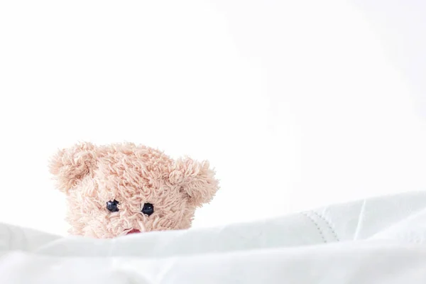 Sevimli oyuncak ayı kumaşla saklambaç oynuyor..