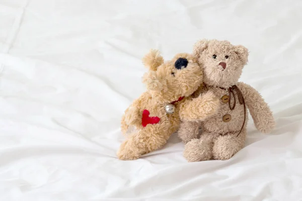 A couple of doll in relationship, Puppy and teddy bear is best friends. The animal in love on the white background