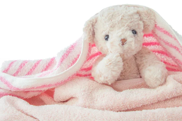 Sevimli ayıcık saklambaç oynuyor ve kumaşla arıyor, Happy Feel konsepti.