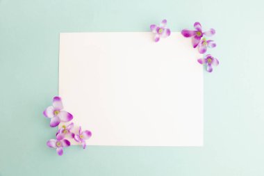 Pastel arkaplan üzerine beyaz kağıt kartın bir kopyası, pastel duvar kağıdı için yaratıcı tasarım.