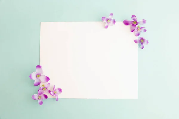 Pastel arkaplan üzerine beyaz kağıt kartın bir kopyası, pastel duvar kağıdı için yaratıcı tasarım.