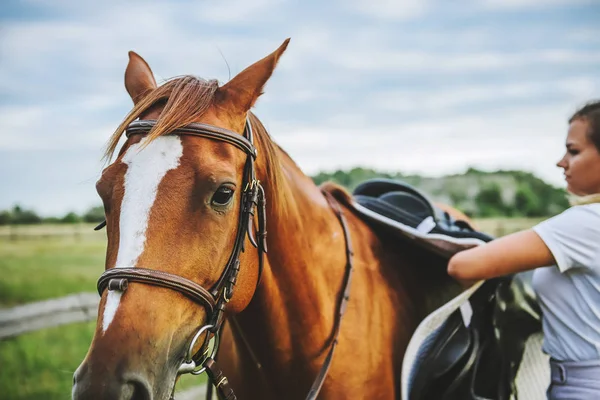 Una Mujer Jinete Quita Silla Montar Del Caballo Después Competencia — Foto de Stock