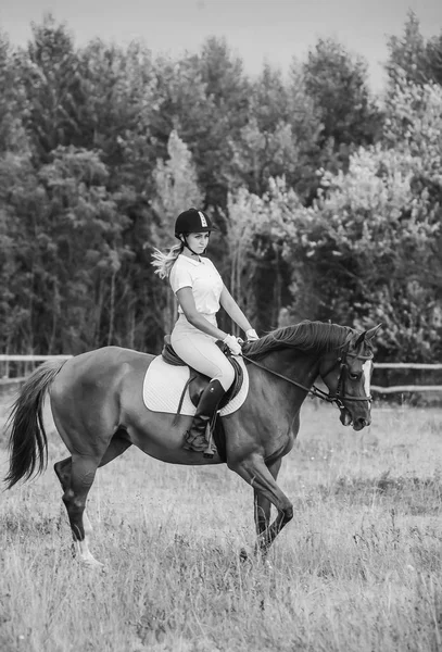 Ung Jockey Girl Rider Brun Häst Sommaren Vid Solnedgången — Stockfoto