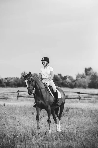 Young jockey girl riding a brown horse in the summer at sunset