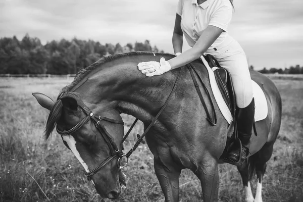 Giovane Ragazza Fantino Cavalcando Cavallo Marrone Estate Tramonto — Foto Stock