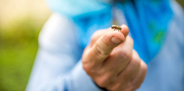 пасечник держит одну пчелу на пальце
