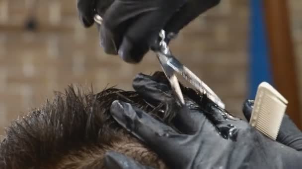 Hairdresser Cutting Boy Barbershop — Stock Video