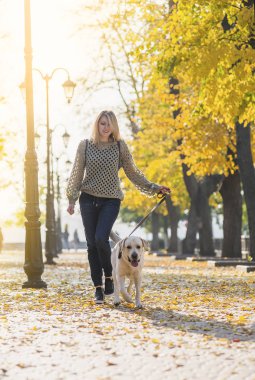 Bir sarışın bir labrador Park ile yürüyor.