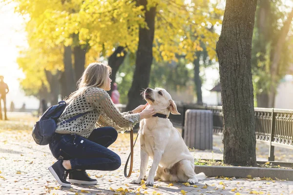 A young blonde crouched next to her pet Labrador for a walk in the park in the fall.