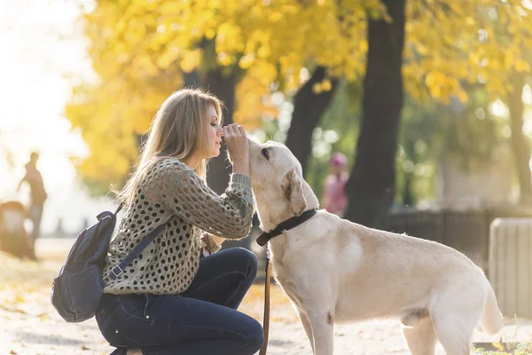 Ung Blondin Hopkrupen Bredvid Hennes Sällskapsdjur Labrador För Promenad Parken — Stockfoto