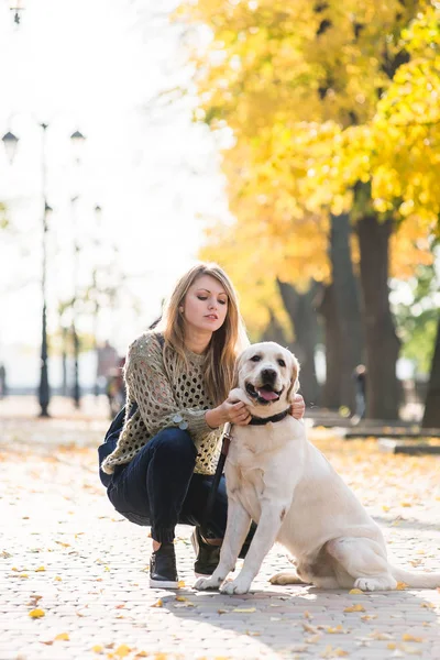 Młoda Blondynka przykucnął obok psa Labrador na spacer w parku. — Zdjęcie stockowe