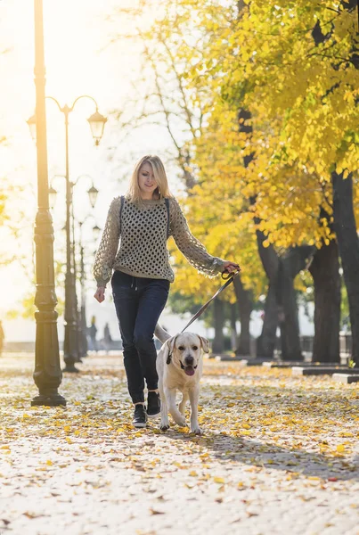 Bir sarışın bir labrador Park ile yürüyor.
