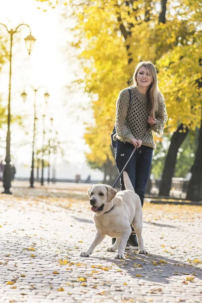 Bir sarışın bir labrador Park ile yürüyor.