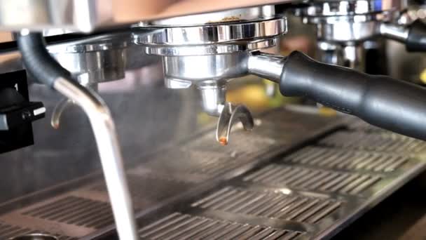 Hacer Café Una Máquina Café Café Barista Prepara Café Profesionalmente — Vídeo de stock