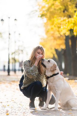 Genç Sarışın yanındaki parkta bir yürüyüş için onu evde beslenen hayvan Labrador sonbaharda çömelmiş.