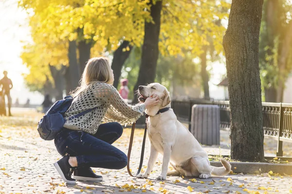 Ung Blondin Hopkrupen Bredvid Hennes Sällskapsdjur Labrador För Promenad Parken — Stockfoto