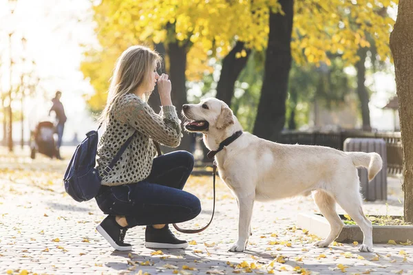 Młoda Blondynka Przykucnął Obok Psa Labrador Spacer Parku Jesienią — Zdjęcie stockowe