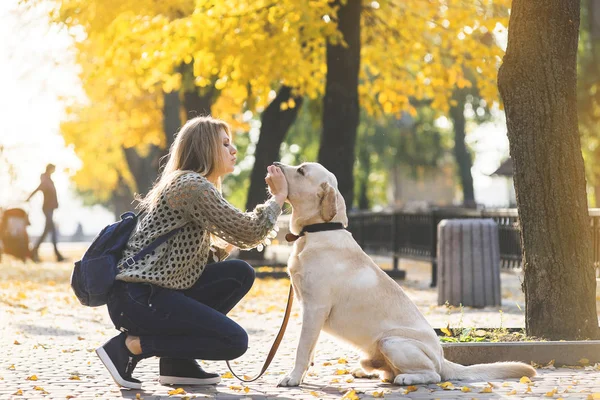 Ung Blondin Hopkrupen Bredvid Hennes Sällskapsdjur Labrador För Promenad Parken — Stockfoto