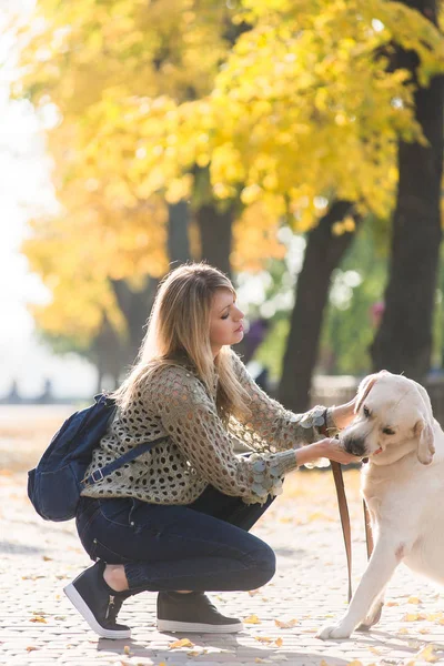 A young blonde crouched next to her pet Labrador for a walk in the park in the fall.