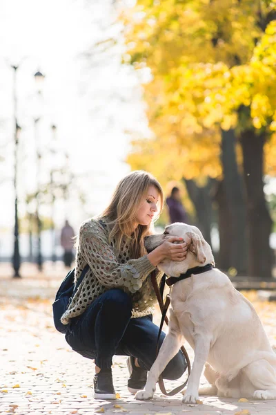Genç Sarışın yanındaki parkta bir yürüyüş için onu evde beslenen hayvan Labrador sonbaharda çömelmiş.
