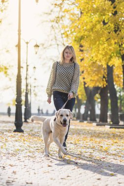Bir sarışın sonbaharda bir parkta bir labrador ile yürüyor.