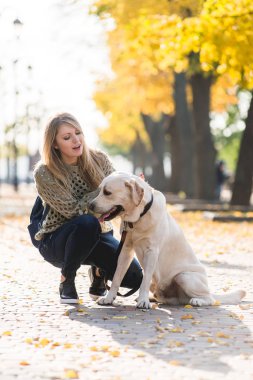 Genç Sarışın yanındaki parkta bir yürüyüş için onu evde beslenen hayvan Labrador sonbaharda çömelmiş.