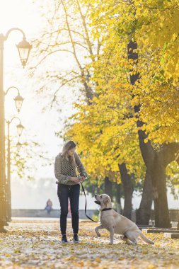 Bir sarışın sonbaharda bir parkta bir labrador ile yürüyor.