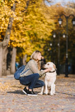 Güzel genç sarışın parkta sonbaharda onun labrador Park ile yürüyor. Kadın onu geri almak çömelmiş.