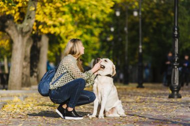 Güzel genç sarışın parkta sonbaharda onun labrador Park ile yürüyor. Kadın onu geri almak çömelmiş.