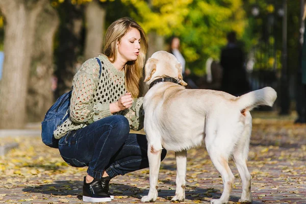 Vacker Ung Blond Promenader Parken Med Sin Labrador Parken Höst — Stockfoto