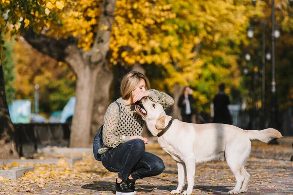 Vacker Ung Blond Promenader Parken Med Sin Labrador Parken Höst — Stockfoto